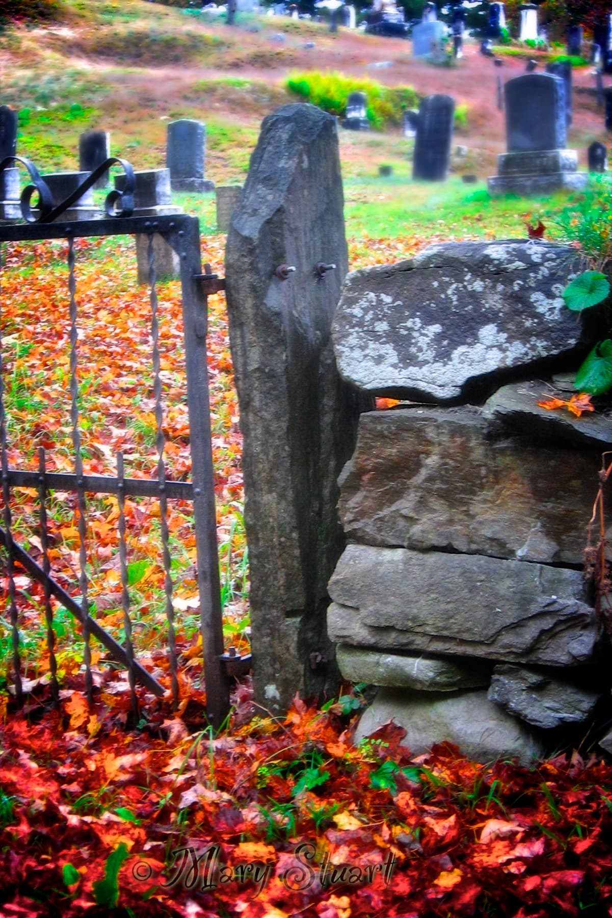 Fall landscape in Plymouth, Vermont