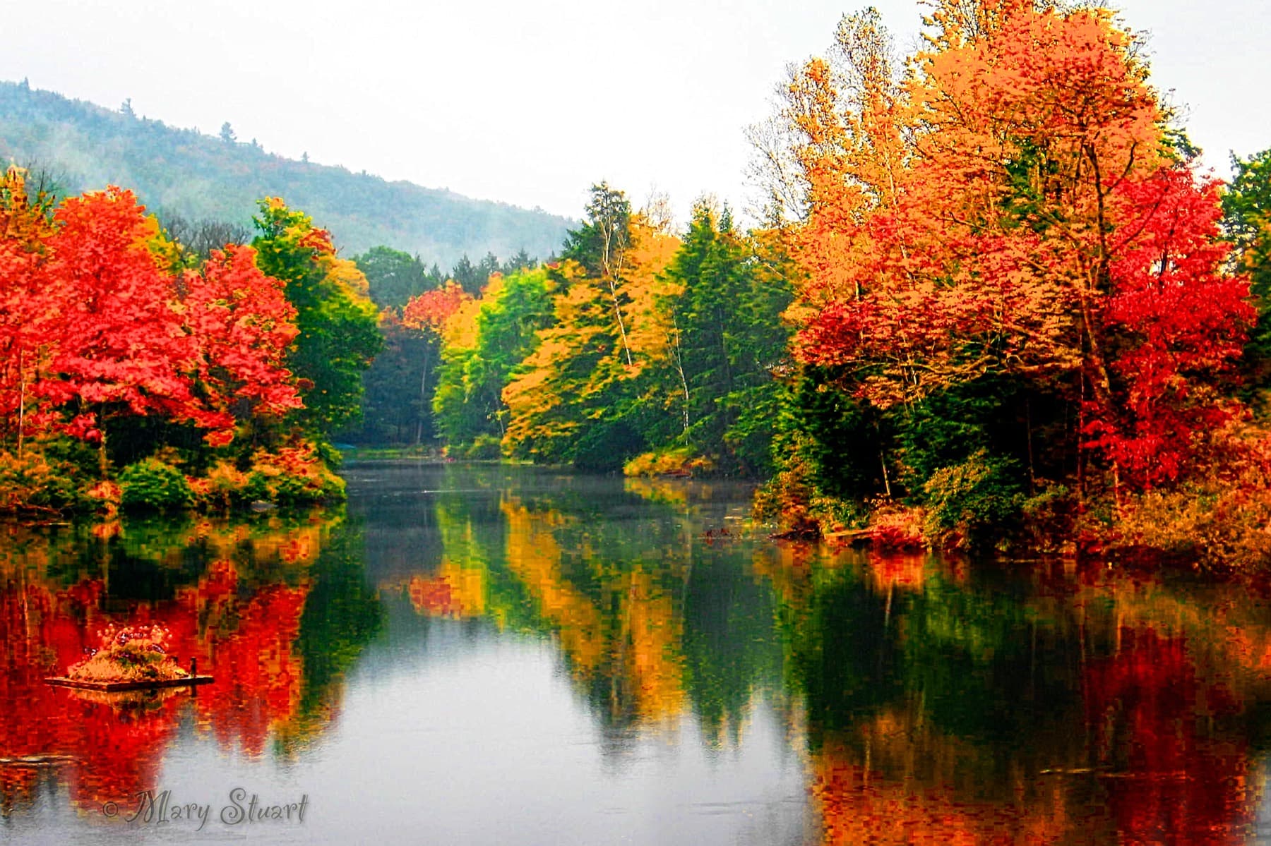 Autumn trees reflected in a Vermont lake